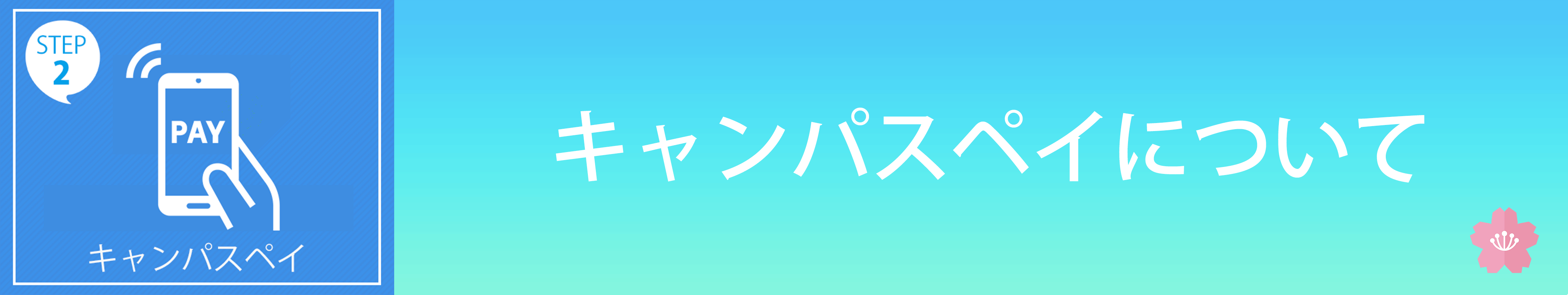 キャンパスペイ